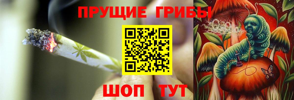 Псилоцибиновые грибы MAGIC MUSHROOMS  Вход с VPN  Знаменск 